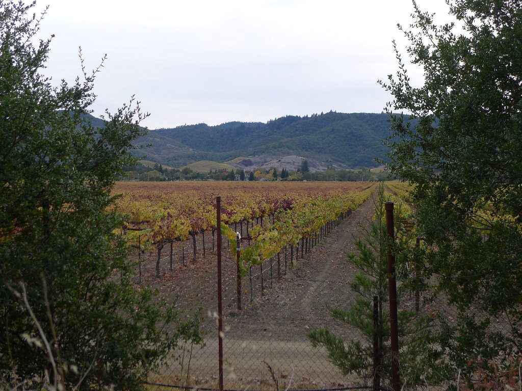 Napa 038
